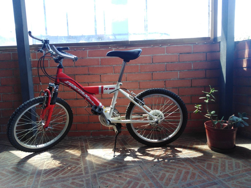 Venta Bicicleta Rin 20 Usada En Stock